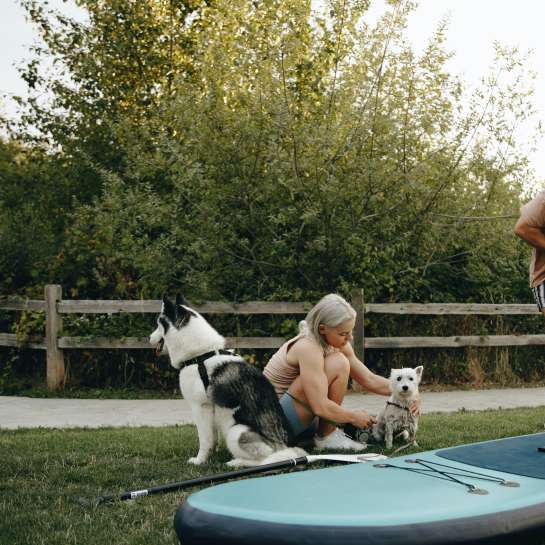 Couple with dogs, pumping up inflatable paddleboard