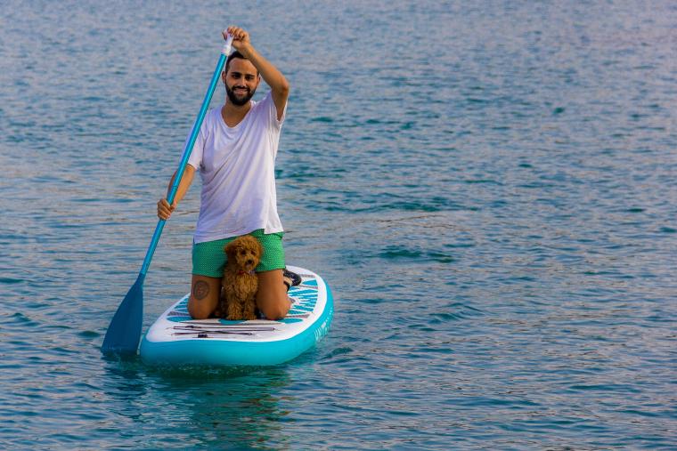 Paddleboarder paddling on water with small dog between legs, facing camera